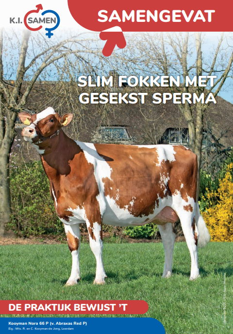 Cover magazine mei 2025