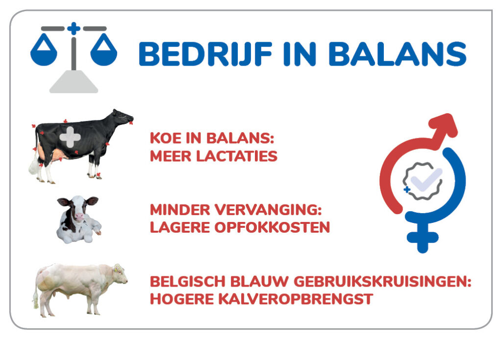 Bedrijf in Balans